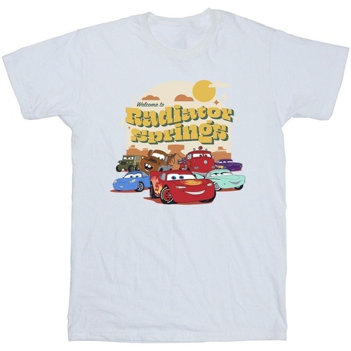 Vêtements Homme T-shirts manches longues Disney Cars Radiator Springs Group Blanc