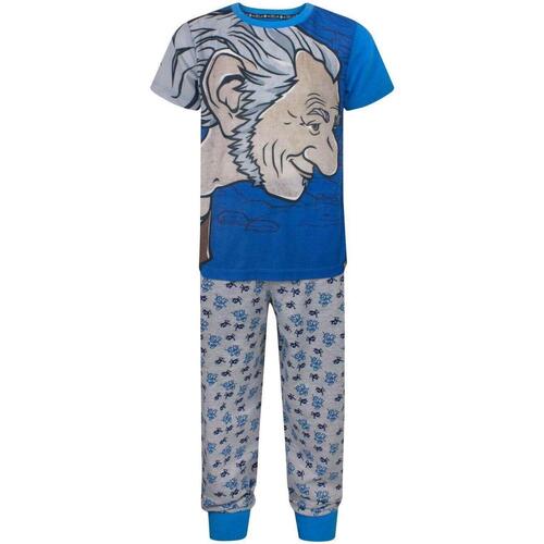 Vêtements Garçon Pyjamas / Chemises de nuit The Bfg Giant Country Bleu