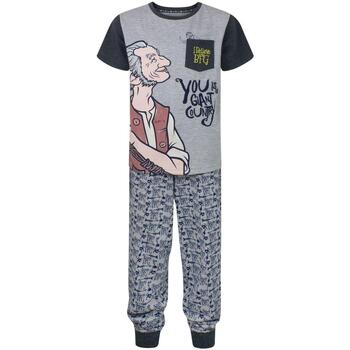 Vêtements Garçon Pyjamas / Chemises de nuit The Bfg I Believe Gris