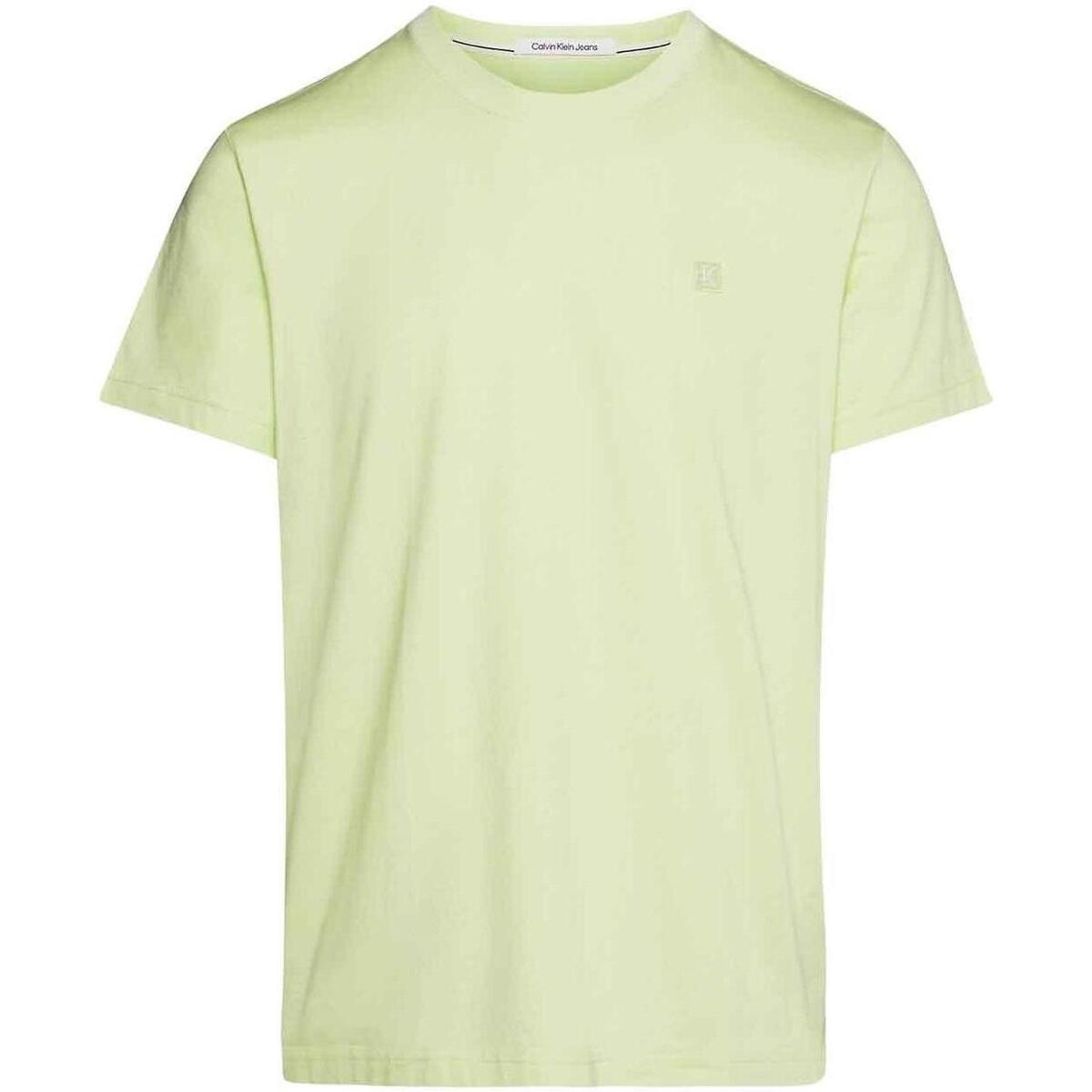 Vêtements Homme T-shirts manches courtes Calvin Klein Jeans  Vert