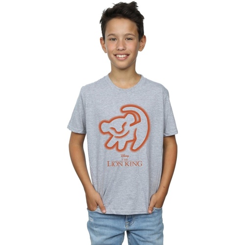 Vêtements Garçon T-shirts manches courtes Disney The Lion King Cave Drawing Gris