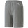 Vêtements Homme Shorts / Bermudas Puma 535868-03 Gris