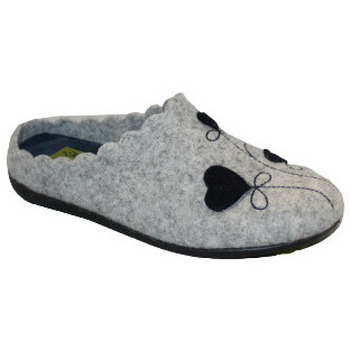Chaussures Chaussons Anatonic AURORE Gris