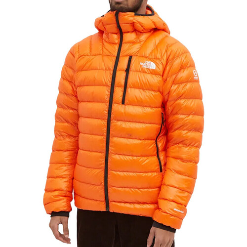 Vêtements Homme Doudounes The North Face NF0A4P6CA6M1 Orange