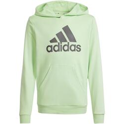 Vêtements Garçon Sweats adidas Originals U bl hoodie Vert