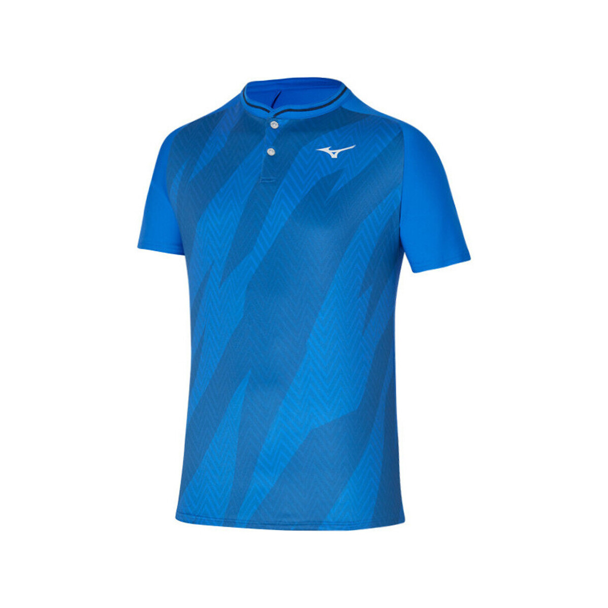 Vêtements Homme T-shirts & Polos Mizuno 62GA2003-25 Bleu