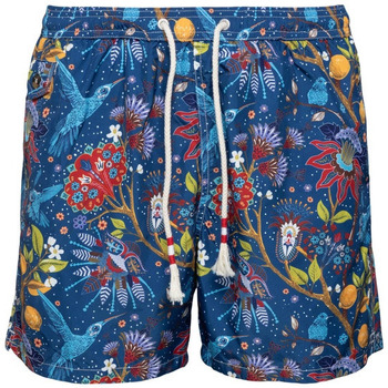 Vêtements Homme Maillots / Shorts de bain Le Coq Sportif LIG0013-02705B Multicolore