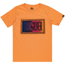 Vêtements Garçon Débardeurs / T-shirts sans manche Quiksilver Day Tripper Orange