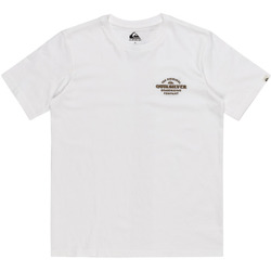 Vêtements Garçon Débardeurs / T-shirts sans manche Quiksilver Tradesmith Blanc