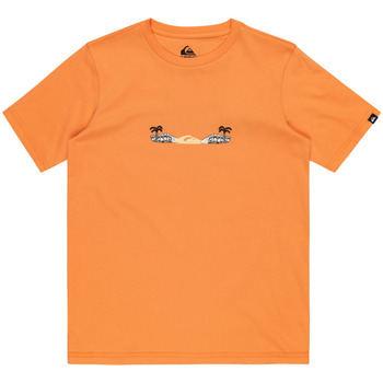 Vêjunior Garçon Débardeurs / T-shirts sans manche Quiksilver Surf Core Orange