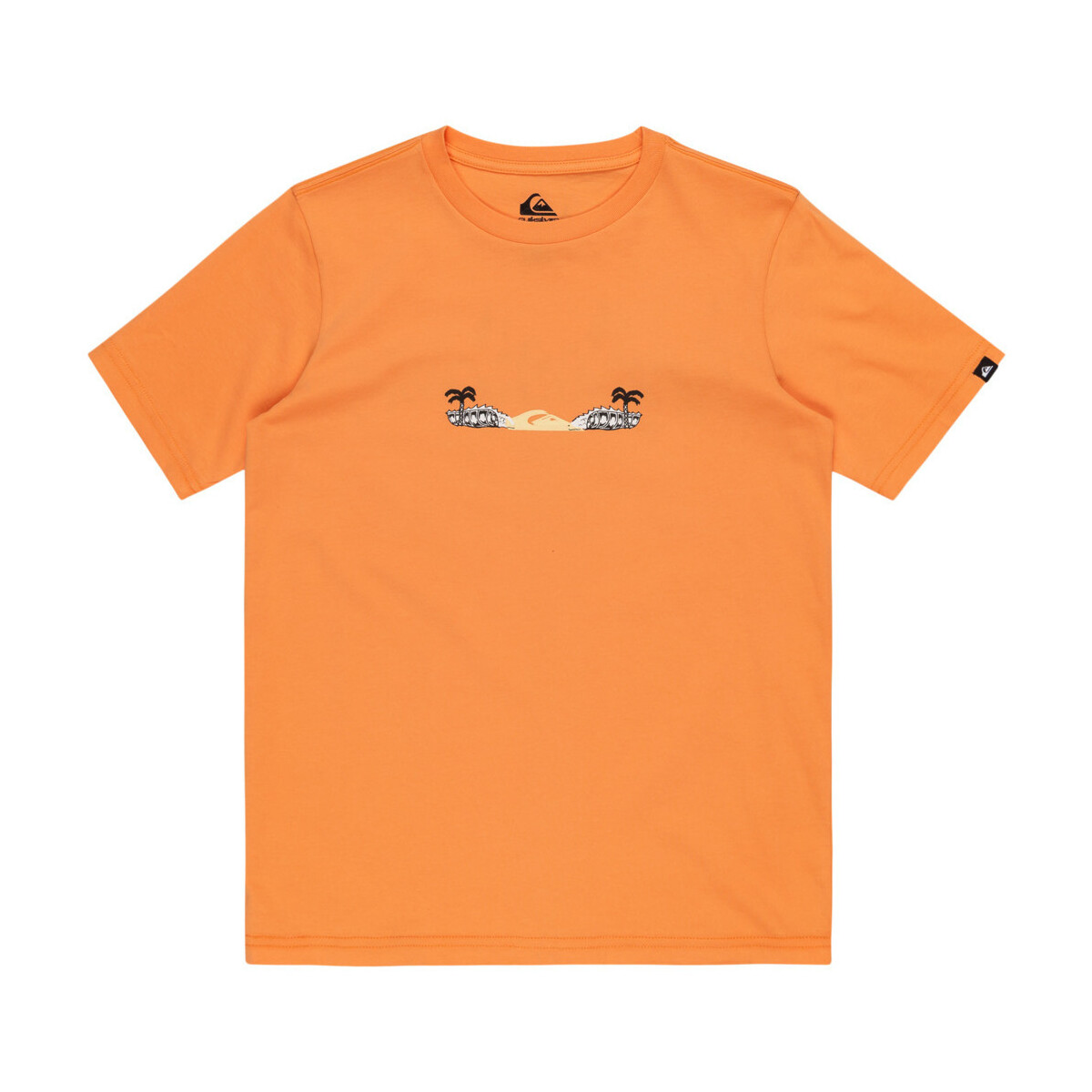 Vêtements Garçon Débardeurs / T-shirts sans manche Quiksilver Surf Core Orange