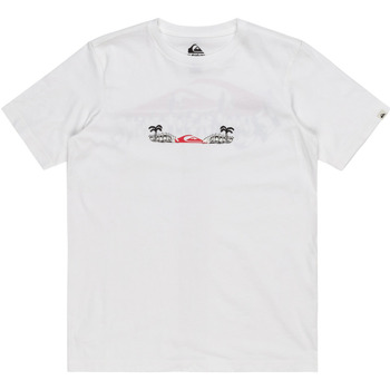 Vêtements Garçon Débardeurs / T-shirts sans manche Quiksilver Surf Core Blanc