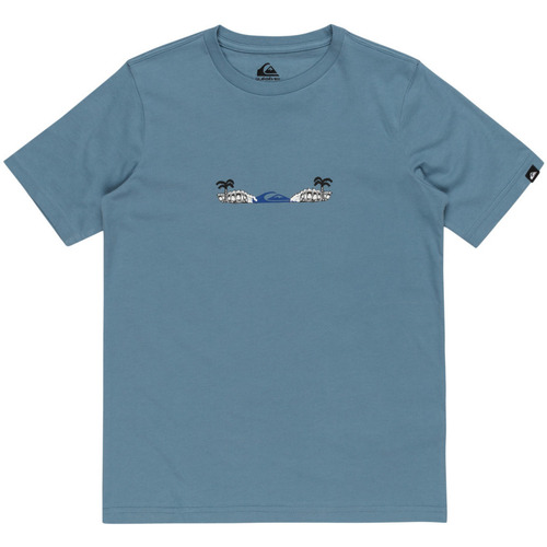 Vêjunior Garçon Débardeurs / T-shirts sans manche Quiksilver Surf Core Bleu