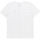 Vêtements Homme Débardeurs / T-shirts sans manche Quiksilver MW Mini Blanc