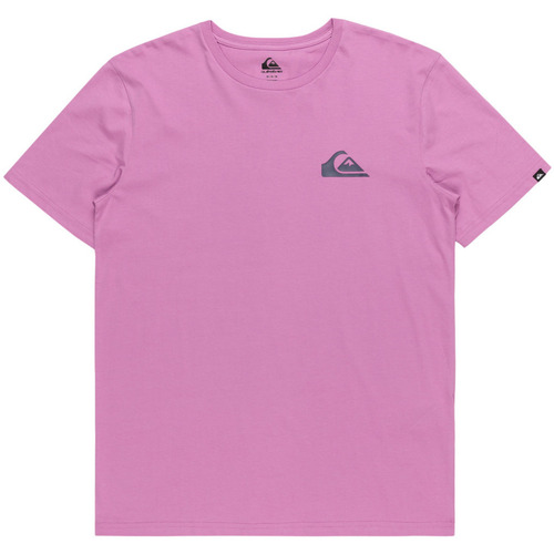 Vêtements Homme Débardeurs / T-shirts sans manche Quiksilver MW Mini Violet