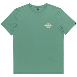 Vêtements Homme Débardeurs / T-shirts sans manche Quiksilver Tradesmith Vert