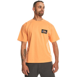 Vêtements Homme Débardeurs / T-shirts sans manche Quiksilver Back Flash Orange