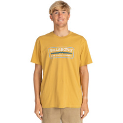 Vêtements Homme T-shirts manches courtes Billabong Trademark Jaune