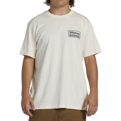 Vêtements Homme Débardeurs / T-shirts sans manche Billabong Walled Blanc