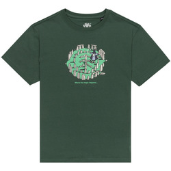 Vêtements Garçon T-shirts & Polos Element Magical Places Vert