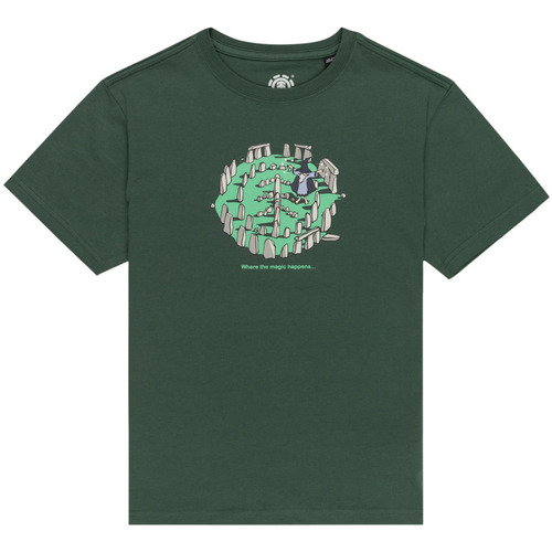 Vêtements Garçon T-shirts & Polos Element Magical Places Vert