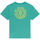 Vêtements Garçon T-shirts & Polos Element Marching Ants Vert