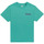 Vêtements Garçon T-shirts & Polos Element Sunup Vert