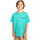 Vêtements Garçon T-shirts & Polos Element Sunup Vert