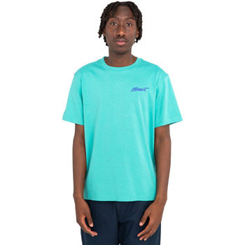 Vêtements Homme T-shirts & Polos Element Horizon Vert