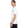 Vêtements Homme T-shirts & Polos Element Midday Blanc
