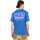 Vêtements Homme T-shirts & Polos Element Sunup Bleu