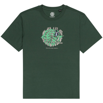 Vêtements Homme T-shirts & Polos Element Magical Place Vert