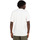 Vêtements Homme T-shirts & Polos Element Magical Place Blanc