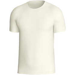 Vêtements Homme T-shirts manches courtes Impetus Premium Wool Blanc