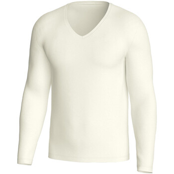 Vêtements Homme Polo Ralph Laure Impetus Premium wool Blanc