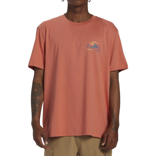 Vêtements Homme Débardeurs / T-shirts con sans manche Billabong Panorama Orange