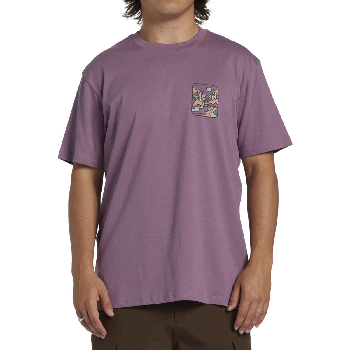 Vêtements Homme Débardeurs / T-shirts sans manche Billabong Shine Violet
