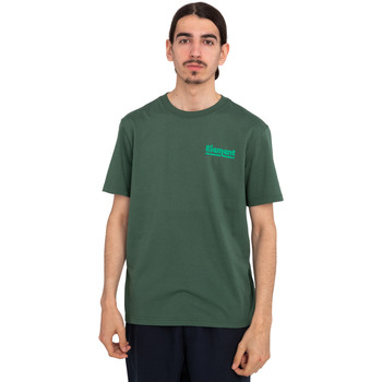 Vêtements Homme T-shirts & Polos Element Sunup Vert