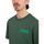 Vêtements Homme T-shirts & Polos Element Sunup Vert