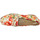 Chaussures Femme Derbies PintoDiBlu 10840 Multicolore