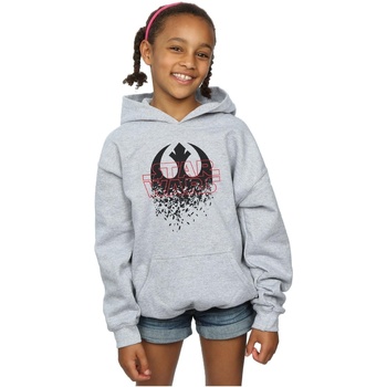 Vêtements Fille Sweats Disney The Last Jedi Shattered Emblem Gris