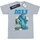 Vêtements Fille T-shirts manches longues Disney Monsters University Poster Gris