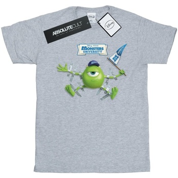 Vêtements Fille T-shirts manches longues Disney Monsters University Taped Mike Gris