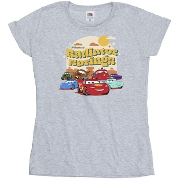 Vêtements Femme T-shirts manches longues Disney Cars Radiator Springs Group Gris