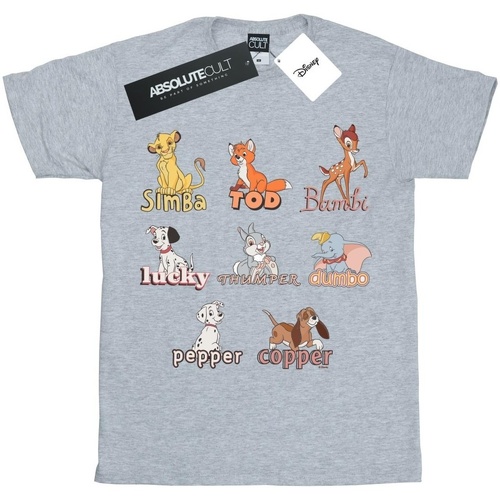 Vêtements Fille T-shirts manches longues Disney Little Friends Animals Gris