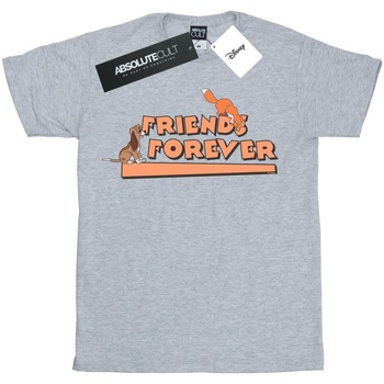 Vêtements Fille T-shirts manches longues Disney Little Friends Forever Gris