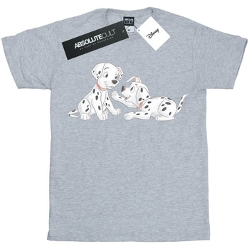 Vêtements Fille Diesel T-Diegos-B19 BCI cotton T-shirt Disney  Gris
