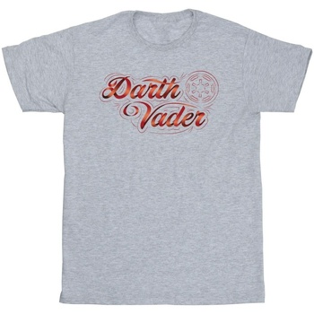 Vêtements Homme T-shirts manches longues Disney Obi-Wan Kenobi Darth Vader Ribbon Font Gris