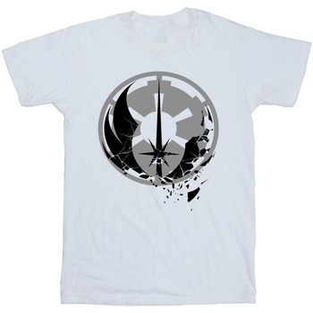 Vêtements Homme T-shirts manches longues Disney Obi-Wan Kenobi Fractured Logos Blanc