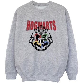Vêtements Garçon Sweats Harry Potter Hogwarts Emblem Gris